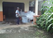 Pemerintah Desa Kalidawir Giat Fogging untuk Cegah Cikungunya