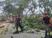 Wujud Kepedulian, Babinsa Koramil Paron Bantu Warga Tebang Pohon