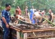 Pohon Tumbang di Arena Sabung Ayam Karangasem, 3 Orang Tewas!