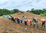 Polresta Banyuwangi Bersama Kelompok Tani Tanam Jagung Serentak Gelorakan Swasembada Pangan