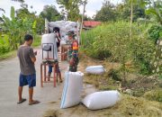 Babinsa Karanganyar Dampingi Penyerapan Gabah oleh Bulog, Pastikan Petani Dapatkan Harga Layak