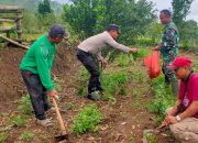 Polres Nganjuk Bersama Warga Tani Kembali Tanam Jagung Wujudkan Ketahanan Pangan Berkelanjutan