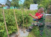 Dorong Ketahanan Pangan, Babinsa Koramil 1002-08/LAU Gandeng Petani Cabe Kasarangan