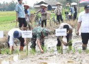 Kodim 1002/HST Aktif Dukung Ketahanan Pangan Melalui Program Pertanian