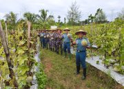Panen Perdana Melon, Wujud Nyata Dukung Ketahanan Pangan Nasional