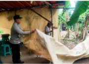 Polisi Bongkar Arena Perjudian Sabung Ayam di Ngronggot Nganjuk
