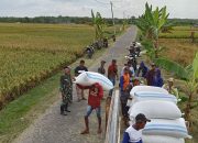 TNI dan Petani Bersinergi, Babinsa Koramil Widodaren Laksanakan Sergap di Sekarputih