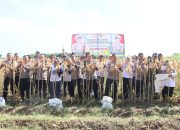 Polres Kediri Kota bersama Warga Tani Panen Raya Jagung, Wujud Nyata Dukung Swasembada Pangan