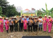 Polres Pelabuhan Tanjungperak bersama Poktan Panen Raya Jagung Tahap 7, Perkuat Ketahanan Pangan Nasional