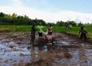 Ketahanan Pangan Satgas TMMD Ke-124 Kodim 1802/Sorong Bersama Masyarakat Garap Lahan 2 Ha