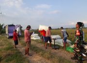 Babinsa Koramil Geneng Kawal Program Sergap di Desa Tepas