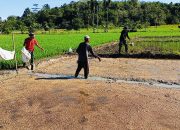 Satgas TMMD Kodim 1802/Sorong Dukung Petani Tabur Bibit Padi di Lahan 2 Hektar