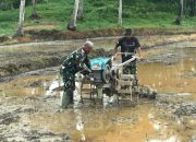 Wujudkan Program Kasad dalam Ketahanan Pangan, Satgas TMMD KE 124 Kodim 1802/ Sorong Mematangkan Lahan Pertanian