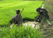 Pembangunan Bidang Ketahanan Pangan Program TMMD Ke-124 Kodim 1802/Sorong Capai 84 Persen