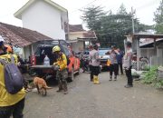 Libatkan Anjing Pelacak Polisi Kembali Cari Korban Longsor di Trenggalek