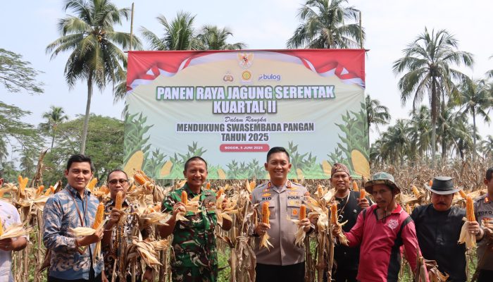 Kapolres Bogor Hadiri Panen Raya Jagung Serentak di Rumpin, Dukung Swasembada Pangan Nasional