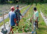 Serda Hartawan Sambangi Petani Terong di Haruyan Seberang Lewat Komsos