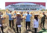 Komitmen Wujudkan Ketahanan Pangan Nasional, Kapolda Jatim Bersama Forkopimda Banyuwangi Gelar Panen Jagung Serentak 1.446 Ton