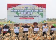 Polres Madiun Kota Gelar Panen Raya Jagung Serentak Kuartal III, Luas Lahan Akan diperluas untuk Dukung Swasembada Pangan Nasional