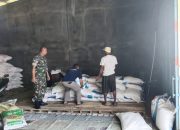 Pendampingan Petani, Babinsa Kodim Ponorogo Pantau Ketersediaan Pupuk Bersubsidi