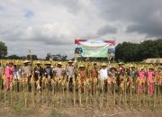 Perkuat Ketahanan Pangan Polres Blitar Kota bersama Forkopimda Panen Raya Jagung Kuartal III