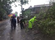 Pohon Tumbang Hadang Jalan, TNI, Polri dan Warga Lakukan Evakuasi