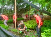 Galakkan Penghijauan, Kodim Ponorogo dan Dishut CDK Pacitan Tingkatkan Kerjasama Pembuatan Bibit