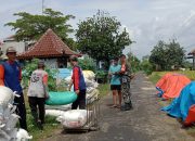 Babinsa Kodim Ponorogo Pendampingan Petani Panen Padi