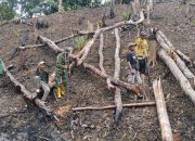 Sinergi TNI-Rakyat: Babinsa BAS Ikut Gotong Royong Menugal di Ladang
