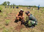 Babinsa Ngadirejo Dukung Gerakan Tanam 5.000 Pohon untuk Kelestarian Lingkungan