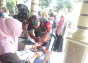 Wujudkan Balita Sehat Babinsa Brangol Dampingi Posyandu Di Desa Binaan