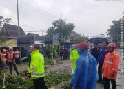 Polres Ngawi Cepat Tangani Pohon Tumbang, Korban Segera Dievakuasi