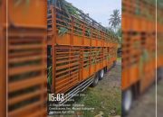 Geger Truk Sapi Diduga Nekat Keluar Bali di Tengah Lockdown LSD Jembrana: Negara Seolah Kalah, Aturan Dipermainkan, Wabah Dipertaruhkan