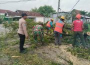 Bahayakan Pengguna Jalan, Babinsa Koramil Pangkur Bersama Warga Pangkas Pohon Rawan Roboh