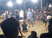 Tajen Bebas di BB Agung Jembrana: Bantuan Kolam Disulap Arena Judi, APH Diduga Tutup Mata