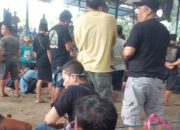 “Kalau Berani Matikan Semua!” Pengurus Tajen BB Agung Tantang Media, Kirim Video Judi di Baluk–Mertasari, Akui 12 Titik Tajen Aman di Jembrana