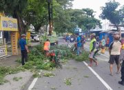 Peduli Keselamatan Warga, Babinsa Koramil 01/Ngawi dan Bhabinkamtibmas Pangkas Ranting Pohon Di Bahu Jalan