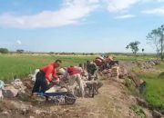 Agar Tidak Longsor Dan Erosi, Babinsa Bersama Warga Gotong Royong Bangun Talud