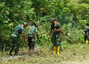 TMMD Ke-127 Buka Akses Terisolir di Marsi, 70 Persen Jalan Baru Tembus Perbukitan Kaimana