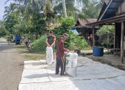 Perkuat Ketahanan Pangan, Babinsa Labuhan Aktif Dampingi Warga Jemur Padi