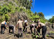 Polres Maybrat Dukung Ketahanan Pangan Melalui Penanaman Jagung di Kampung Kambuwifa