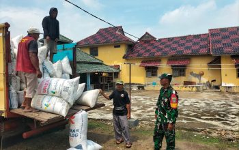 Operasi Sergab Bulog di Jatiwangi, 13,2 Ton Gabah Petani Leweunggede Diserap