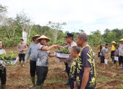 Kapolda Papua Barat Daya Pimpin Penanaman 500 Tunas Uwi Ungu untuk Ketahanan Pangan