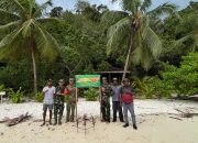 TMMD ke-127 Kodim 1804/Kaimana: Dandim Pimpin Transplantasi Terumbu Karang di Laut Pulau Sanus