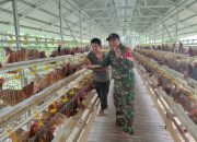 Babinsa Koramil 1002-05/Pandawan Dampingi Pengembangan Ternak Ayam Petelur Bumdes Serumpun