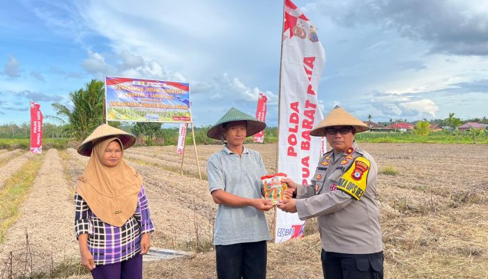 Sinergi Polisi dan Petani di Aimas, Jagung Jadi Andalan Ketahanan Pangan