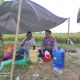 Tak Ada Sekat di Pematang Sawah, Bhabinkamtibmas Polsek Anjatan Sambangi Petani