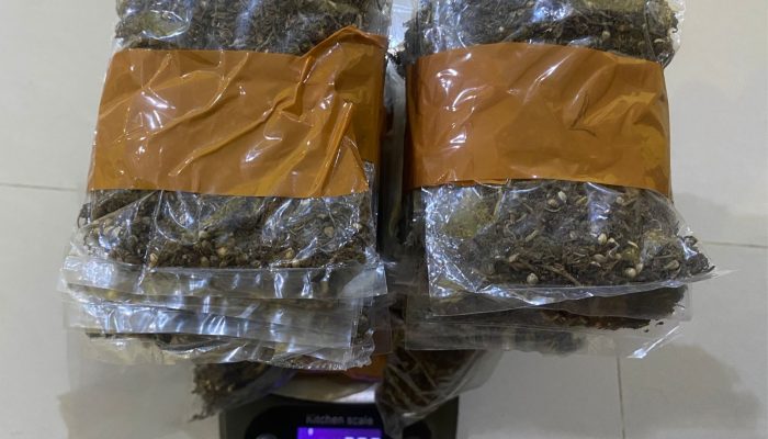 Polisi Sorong Bongkar Peredaran Ganja, Wanita 40 Tahun Ditangkap: Satresnarkoba Sorong Amankan 750 Gram