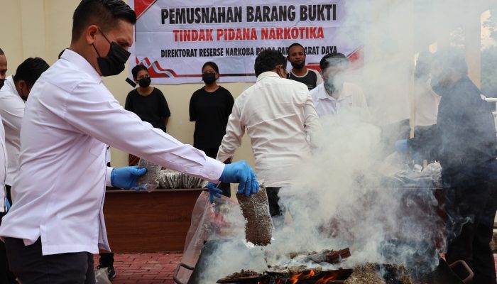 Polda Papua Barat Daya Musnahkan Barang Bukti Ganja 8,2 Kg, Perketat Penindakan Serta Tegaskan Perang Tanpa Kompromi