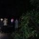 Gerak Cepat!! Polisi Tangani Pohon Tumbang dan Longsor, Arus Lalu Lintas Kembali Normal